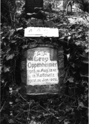 Grabstein 440 (Index: 100093195) Maße HxBxT: 70x48x25 cm: Grabstein 440