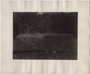 Stele 8, Südwestseite. ("Oben rechts Kalenderdatum. 8 ahan 13 (18?). Das davor stehende Zeichen, das zweite von links, scheint die gewöhnliche Überschrift zu sein.")