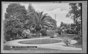 Park Scene Pomona, Cal.