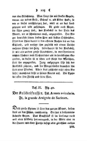 ¬Der¬ Kolibrifresser : Taf. VIII, Fig. 40