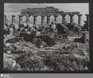Selinunt. Der Tempel C auf der Akropolis