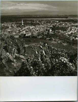 "Blick über Ihringen a. K. zur Breisgaubucht"