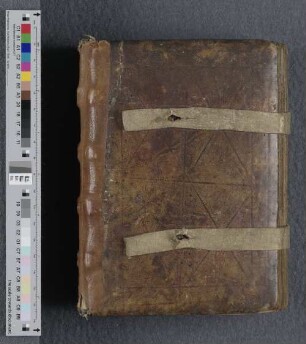 [Paradisus animae intelligentis] : Cod. theol. 2057