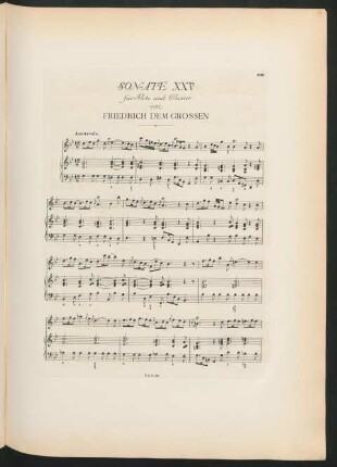 Sonate XXV (g-Moll)