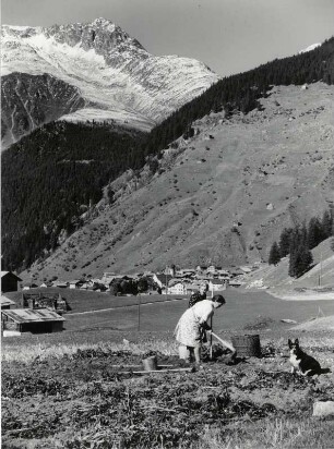 Kartoffelernte vor dem Tödi, Curaglia