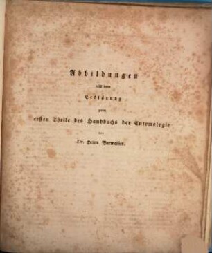 Handbuch der Entomologie. [6,1], Abbildungen nebst deren Erklärung zum ersten Theile des Handbuchs der Entomologie