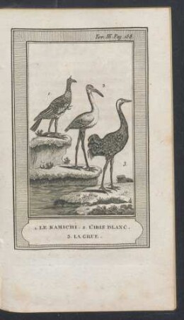 Tafel: 1. Le Kamichi. 2. L'ibis blanc. 3. La grue.