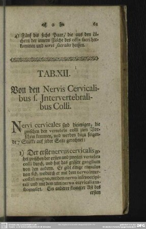 Tab. XII. Von den Nervis Cervicalibus s. Jntervertebralibus Colli