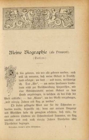 Meine Biographie (als Vorwort), ( Satire)