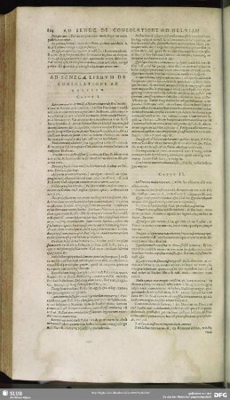 Ad Senecae Librum De Consolatione Ad Helviam