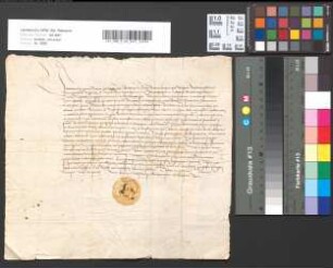 Eidesleistung des neugewählten Abtes zu Grafschaft Peter Dorrenbach; Verfügung des Erzbischofs.