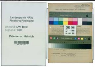 Entnazifizierung Heinrich Palenschat , geb. 06.06.1897 (Kaufmann)