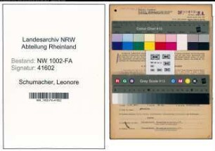 Entnazifizierung Leonore Schumacher, geb. 07.07.1908 (Kauffrau)