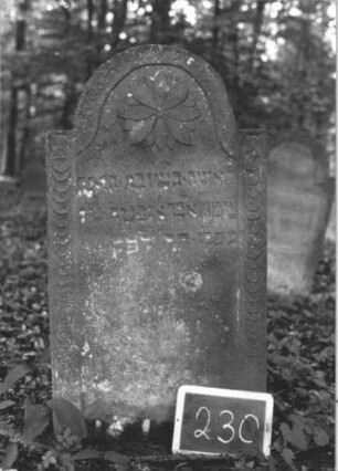 Grabstein 230 (Index: 99894712) Material: Sandstein Zustand: gut, leicht bewachsen Maße HxBxT: 106x56x8 cm Beschreibung: Stele mit eingezogenem Rundbogenabschluss Symbolik: Blüte, Schuppenmuster: Grabstein 230 (1)