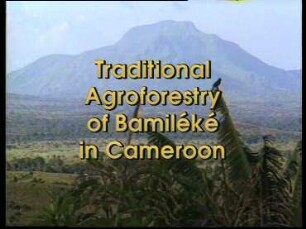 Traditional Agroforestry of Bamiléké in Cameroon and Its Use in Agriculture Development