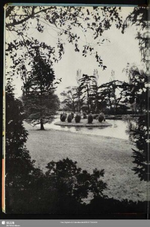 56 Rousseauinsel im Wörlitzer Park