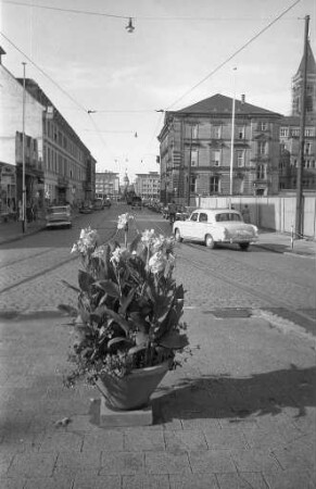 Blumenschmuck am Rondellplatz.