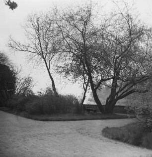 Dresden-Pillnitz. Schloss Pillnitz. Schlosspark