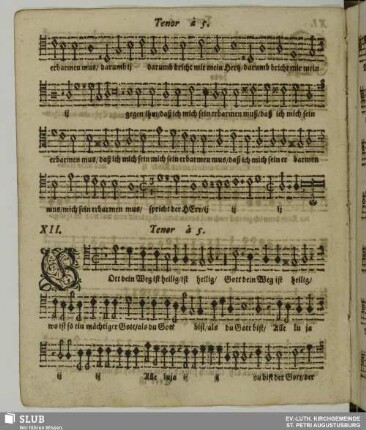 XII. Gott dein Weg ist heilig
