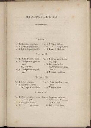 Spiegazione Delle Tavole