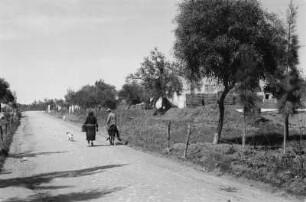 Hauptstraße von Tegrena (Libyen-Reise 1938)