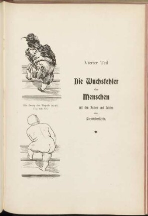 Vierter Teil. Die Wuchsfehler des Menschen mit den Massen und Zahlen der Körperoberfläche.