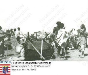 Trapp, Paul (1879-1916) / Lager mit Kamelen in Abessinien und Ostafrika