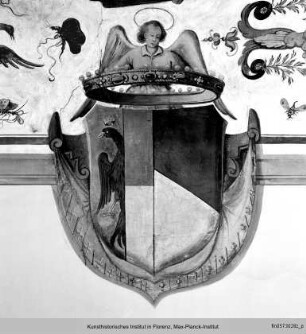 Deckendekoration mit Wappen und historischen Szenen : Wappen der Besitzungen und Burgen der Familie Gherardesca