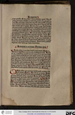Dominica octava, sermo lxii.