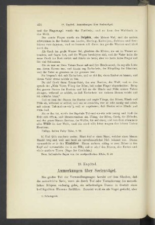 18. Kapitel. Anmerkungen über Seelenvögel