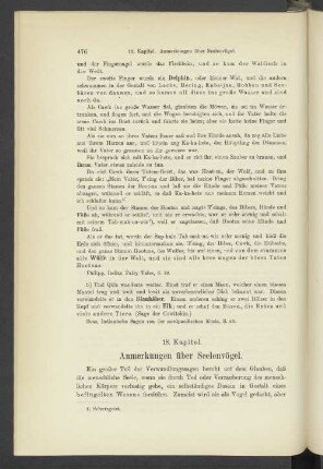18. Kapitel. Anmerkungen über Seelenvögel