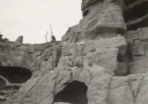 Hamburg, Tierpark Hagenbeck. Affenfelsen mit Pavianen (1913, U. Eggenschwyler)