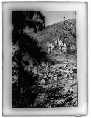 Blick auf Altstadt, Burg und Mainvorplatz