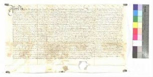 Vertrag zwischen Hüttisheim und Bihlafingen einerseits und Schnürpflingen andererseits wegen Triebs und Tratts