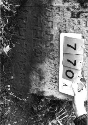 Grabstein 770 (Index: 99751570) Material: Sandstein Zustand: verwittert Maße HxBxT: 81x58x10 cm Beschreibung: Stele, Segmentbogenabschluß mit Mittelakroter: Grabstein 770A