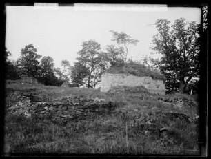 Harz, Ruine Anhalt