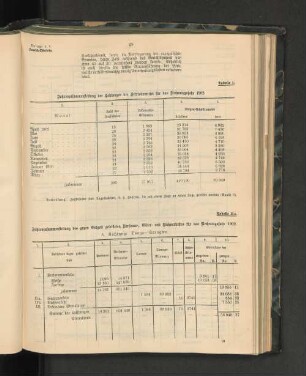 Jahreszusammenstellung der Leistungen der Betriebsmittel für das Rechnungsjahr 1902.