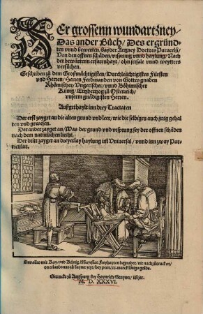 Der grossenn Wundartzney, das ... Buch : getruckt nach dem ersten Exemplar, so D. Paracelsi handgeschrifft gewesen. 2