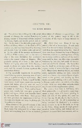 Chapter VII: The roman houses