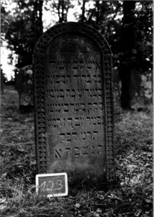 Grabstein 123 [Nir S. 97 Nr. 10.12]