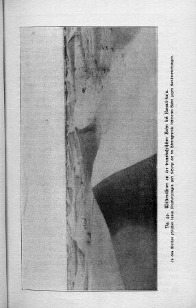 Fig. 49.
