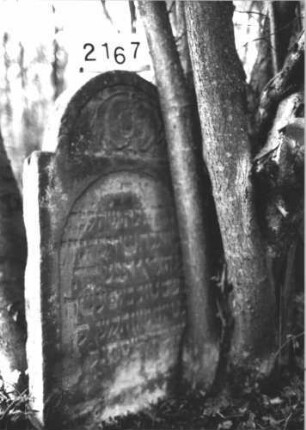 Grabstein 2167 (Detailaufnahme 3)