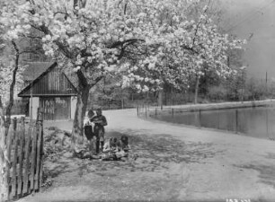 Kindergruppe unter blühendem Obstbaum am Dorfteich