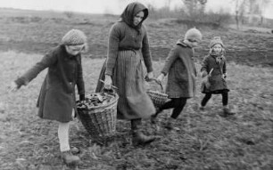 "Viele Steine gabs und wenig Brot" - Kleinbäuerin und Kinder beim Steine aufsammlen auf dem Feld : Kleinbäuerin und Kinder beim Steine aufsammlen auf dem Feld