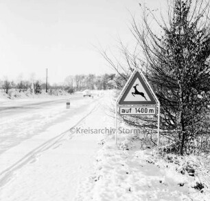 Möllner Landstraße: rechts Hinweisschild auf Wildwechsel und Sträucher: im Hintergrund VW-Käfer: Winter