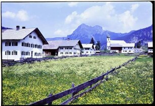 Grän: Wiese und Blick auf den Ort, Hintergrund Aggenstein