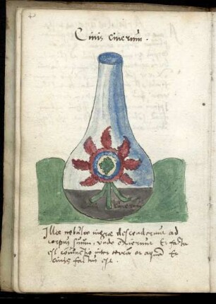 Phiole mit Rose und Asche