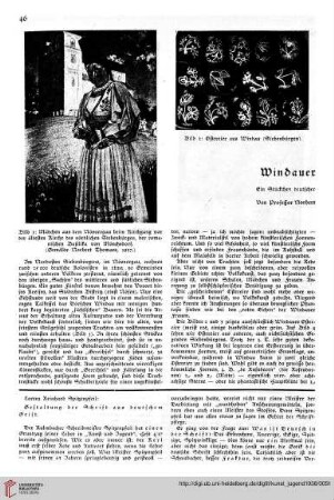N.F. 18.1938: Windauer : ein Stückchen deutscher