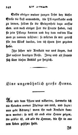 Eine ungewöhnliche große Henne