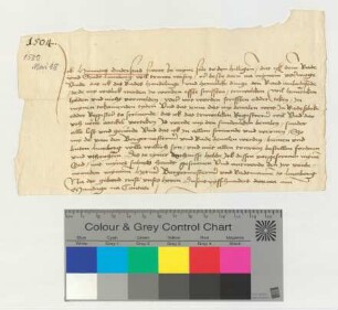 Hinricus Duderstad leistet als Schreiber eigenhändig seinen Diensteid.